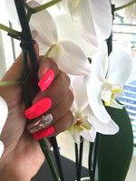papillon nail & beauty center